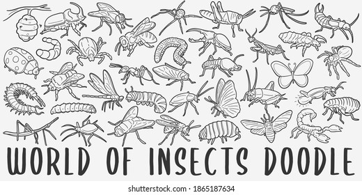 World of Insects, doodle icon set. Bugs Style Vector illustration collection. Little Animals Banner Hand drawn Line art style.