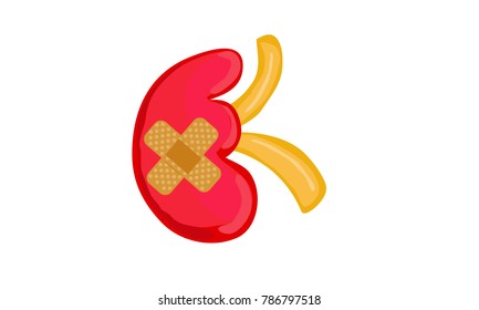 WORLD KIDNEY DAY