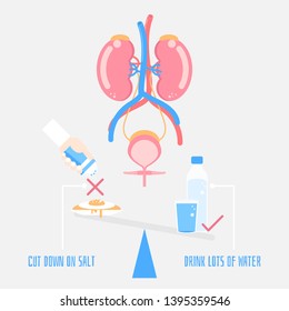 world kidney day, kidney and bladder health care infographic diagram, cut down on salt with hand holding salt shaker and drink lots of water concept, flat character design clip art vector illustration