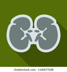 World kidney day card, vector illustration with cute cartoon couple of kidneys.
