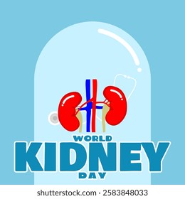 World Kidney Day to celebrate on March 9th. Illustration of a kidney in a glass tube and bold text on sky blue background. Health event banner.