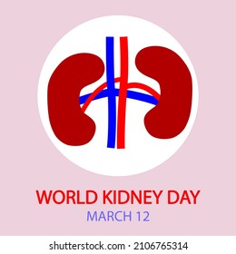 World kidney day infographics, vector art illustration.
