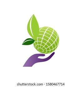 world leaf green icon logo design