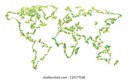 World lines of leaves