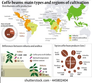 World map. Coffee info graphic. Coffee beans: Main types and region of cultivation. Perfect detailed coffee info graphic elements with sample data made in vector.