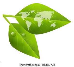 World map on green leaf