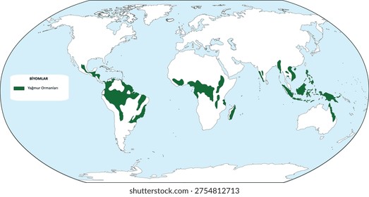 World map of tropical rainforest biome distribution, ecological zones vector illustration