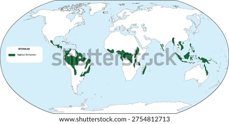 World map of tropical rainforest biome distribution, ecological zones vector illustration
