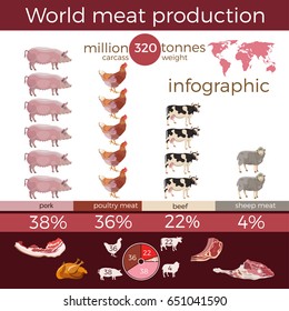 World meat production, infographic. Vector illustration