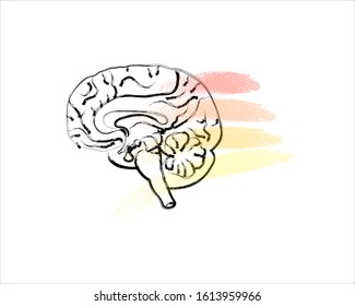 World Mental Health Day background. Brain with colorful lines. Line art doodle sketch. Black outline on white background. Picture can be used in greeting cards, posters, flyers, banners, logo etc