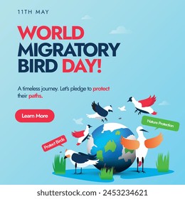 World Migratory Bird Day. 11 May world migratory bird day conceptual banner, social media post with earth globe and different migratory birds around it. Protect Insects, Protect Birds awareness banner