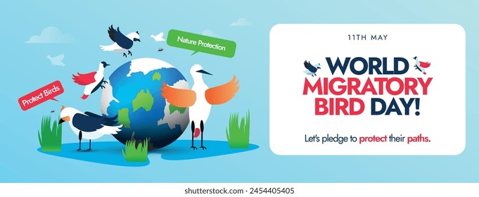 World Migratory Bird Day. 11 May world migratory bird day conceptual cover banner, post with earth globe and different migratory birds around it. Protect Insects, Protect Birds awareness banner.