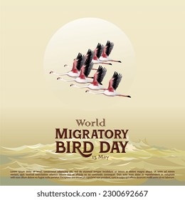 World Migratory Bird Day concept. 8th May World migratory bird day (WMBD). 