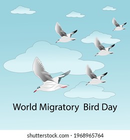 world migratory bird day web banner design. illustration vector