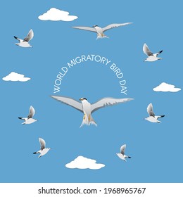 world migratory bird day web banner design. illustration vector