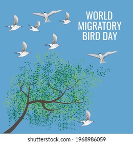 world migratory bird day web banner design. illustration vector