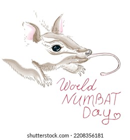 World Numbat Day greeting card, illustration with cute cartoon style, sketch of an animal in watercolor, Logo Design illustration