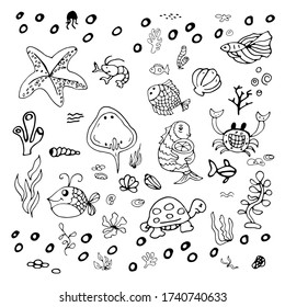 World Oceans day hand drawn  set. sea Stingray, flounder, goldfish, starfish, crab, shrimp,seaweed, turtle, shells Vector illustration isolated on a white background.Design icon, banner.