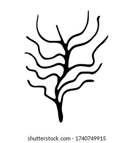 Corales, algas, plantas marinas y un conjunto de siluetas de algas marinas dibujadas a mano en el Día Mundial de los Océanos. Ilustración vectorial aislada en un fondo blanco.Icono de diseño, pancarta.
