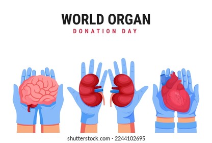 World organ donation day, medical design illustration, doctor vector