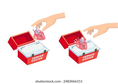 World Organ Donation Day. Organ transplantation box. Transport cooler bag for donation organs. Human hands placing a donor heart in a refrigerated medical box