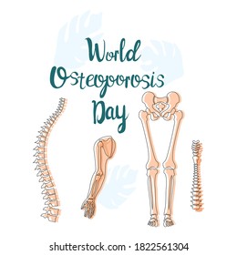 World Osteoporosis Day concept. Movement disability and arthritis,disease of elbow and hip joint. Vitamin D deficiency. Human spine with disease and pain.Fragile and broken bones,skeleton.Vector