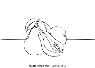 World pear day observed on 8th of December.  Delicious pear in peak pear season. Fruits line art vector. Nutritious food. 