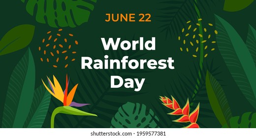World Rainforest Day. Vector banner for social media, card, poster. Illustration with text World Rainforest Day, June 22. Tropical forest, jungle, exotic plants on a green background.