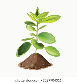 World Soil Day Concept Vector Illustration 
