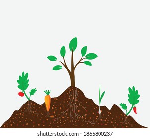 World Soil day and Earth day. December 5. Suitable for greeting card. concept for banner or poster design. Vector Illustration