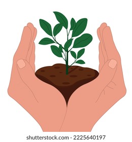 El Día Mundial del Suelo se celebra anualmente el 5 de diciembre. Una mano sostiene una planta verde. Reforestación, reforestación, plantación de árboles, Día del Medio Ambiente.Ilustración vectorial plana