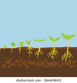 World soil day. Stages of cultural development. Infographic of tree planting. Concept of evolution. Sprout, plant, tree 