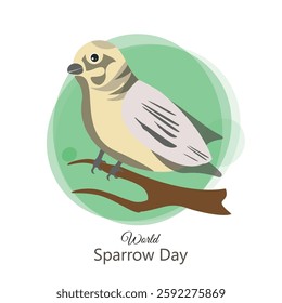 World Sparrow Day is celebrated on March 20th every year to raise awareness about the need to protect sparrows and other birds. Sparrow day vector, illustration.