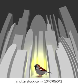 World Sparrow Day. Sparrow on the background of the cityscape. Concept of ecological events. Protection of birds.