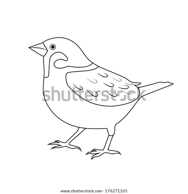 world sparrow day vector sparrow cartoon stock vector royalty free 576271165 https www shutterstock com image vector world sparrow day vector cartoon outline 576271165