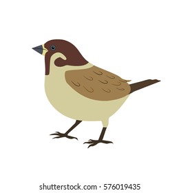 World Sparrow Day. Vector illustration of the date of sparrows. Cute sparrow card for world sparrow day.