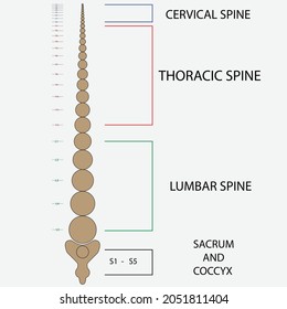 World spine day is held each year on October 16, and it is part of Bone and Joint Decade Action Week.