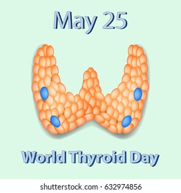 World Thyroid Day. 25 May. The structure of the thyroid gland. Vector illustration.