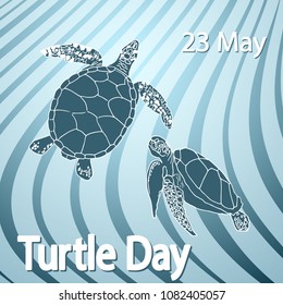 World Turtle Day 23 May background. Vector illustration