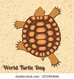 World Turtle Day. Reptile turtle. Land tortoise. View from above. Walking, running over the sand
