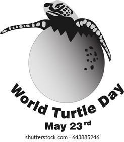 WORLD TURTLE DAY,May 23 icon vector illustration background.