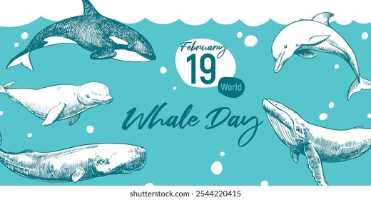 World Whale Day 19th February. Vector horizontal poster with cachalot, dolphin, orca and beluga and humpback whale. Hand drawn, engraving technique. Environmental protection concept.