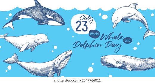 World Whale and Dolphin Day July 23. Vector horizontal poster. Whales are hand drawn, engraving technique. Environmental protection concept. Ocean Day. cachalot, dolphin, orca and beluga