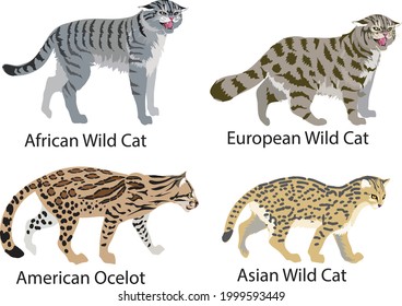 World WildCat from Africa, Europe, Asia and American Ocrelot Cat- - Vector
