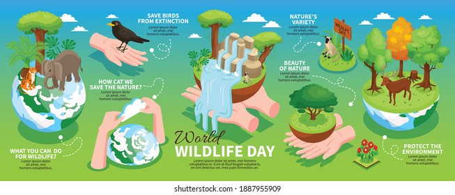 Diseño de infografías horizontales del Día Mundial de la Vida Silvestre con información sobre la protección del medio ambiente y animales silvestres ilustración vectorial isométrica