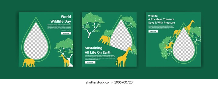 World Wildlife Day. Social media templates for World Wildlife Day. Education to get to know wildlife. Sustaining all life on earth.