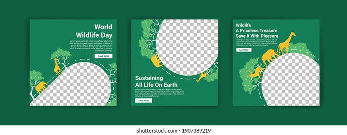 World Wildlife Day. Social media templates for World Wildlife Day. Education to get to know wildlife. Sustaining all life on earth.