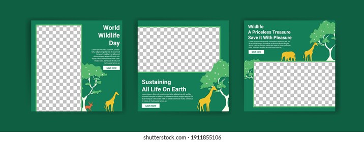 World Wildlife Day. Social media templates for World Wildlife Day. Education to get to know wildlife. Sustaining all life on earth.