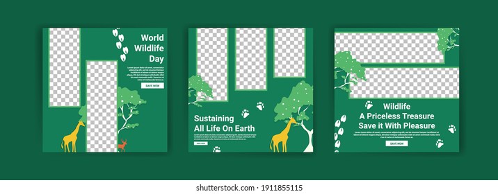 World Wildlife Day. Social media templates for World Wildlife Day. Education to get to know wildlife. Sustaining all life on earth.