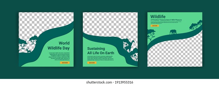 World Wildlife Day. Social media templates for World Wildlife Day. Education to get to know wildlife. Sustaining all life on earth.